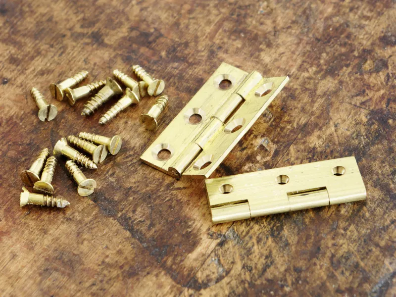 S.S & Brass Hinges